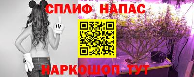 ECSTASY Будённовск
