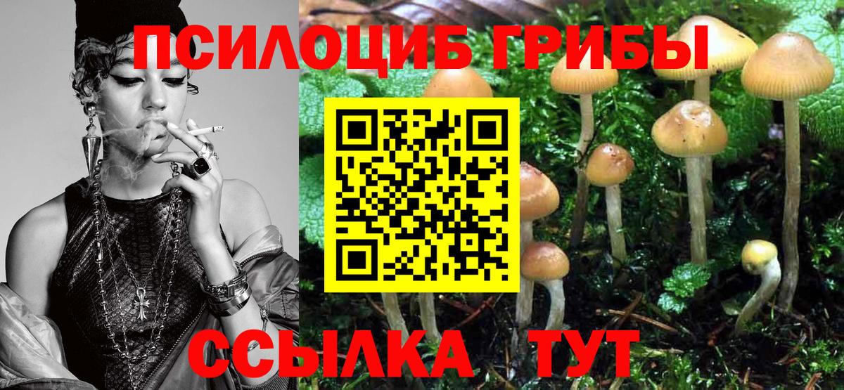 Сокол  Псилоцибиновые грибы Magic Shrooms  Галлюциногенные грибы Cubensis  Вход с VPN 