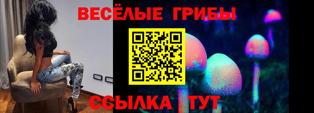 Галлюциногенные грибы Magic Shrooms Сокол